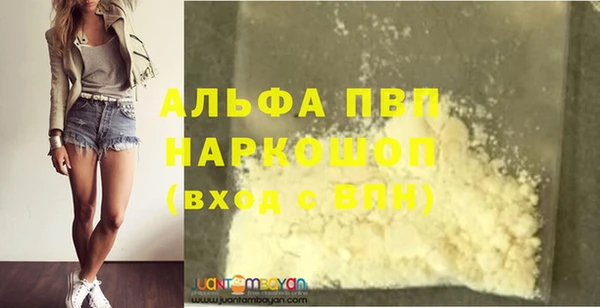 шишки Киренск