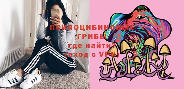 кокс Козловка