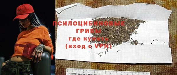 герыч Козельск