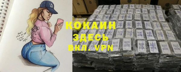 шишки Киренск