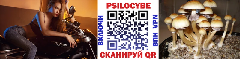 Галлюциногенные грибы Cubensis Мелеуз